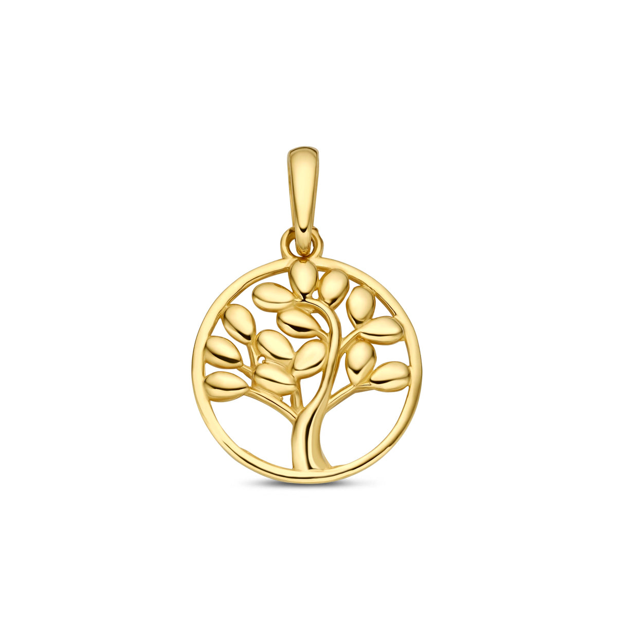 Vooraanzicht van de gouden ronde levensboom hanger van 14 karaat.