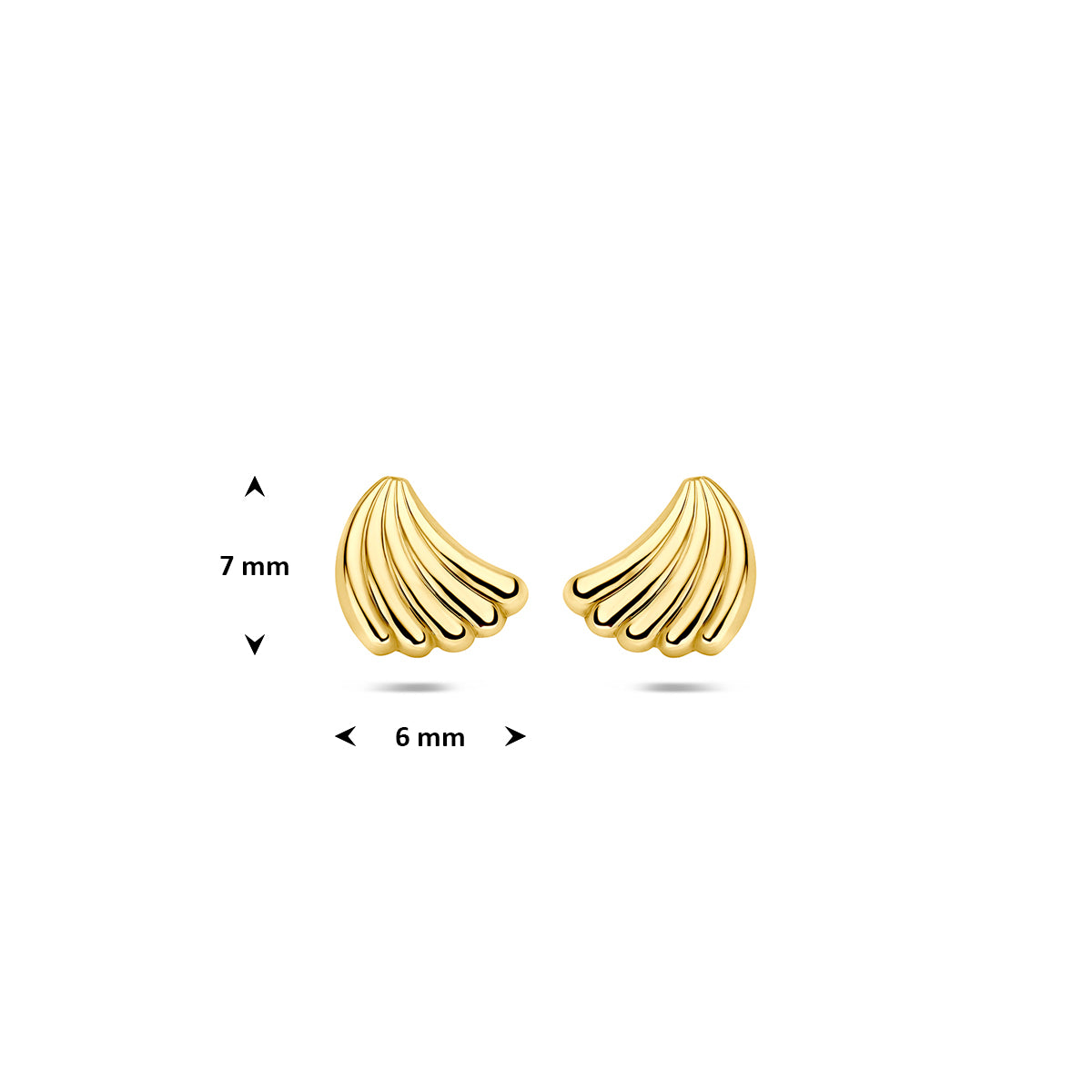 Afmetingen van de gouden schelp oorknopjes van 14 karaat: 7 mm hoog en 6 mm breed.