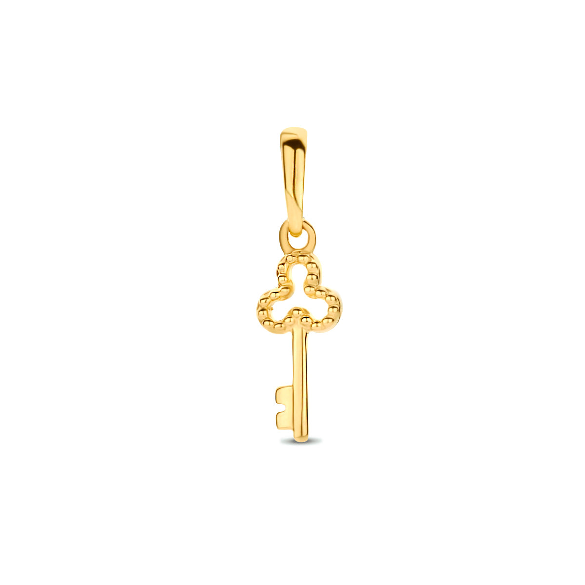Vooraanzicht van de gouden sleutel hanger van 14 karaat.