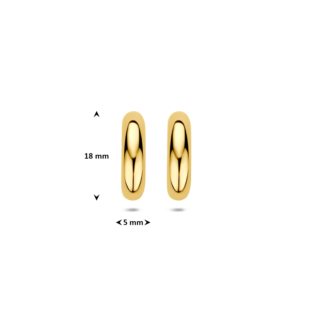 Afmetingen van de gouden stekeroorringen van 14 karaat: 18 mm hoog en 5 mm breed.