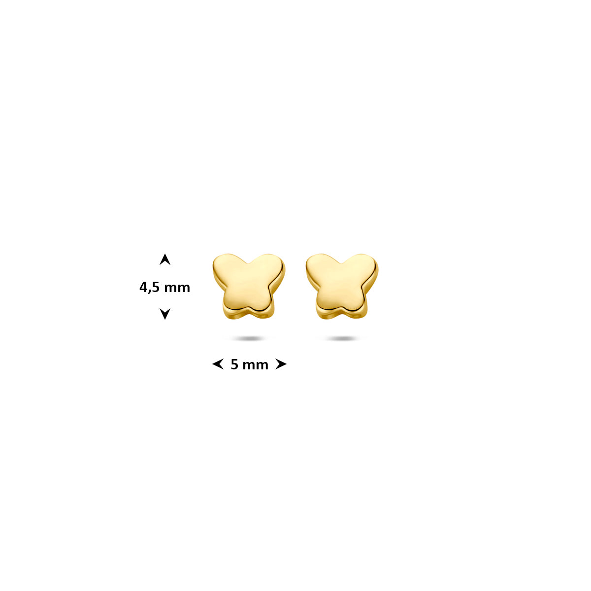 Afmetingen van de gouden vlinder oorknopjes van 14 karaat: 4,5 mm hoog en 5 mm breed.