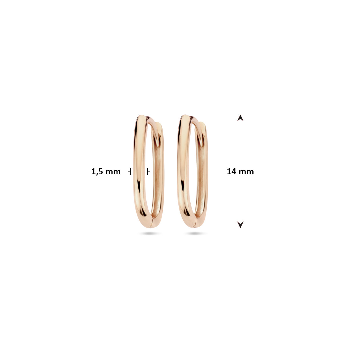 Afmetingen van de roségouden paperclip klapoorringen van 14 karaat: 14 mm hoog en 1,5 mm dik.
