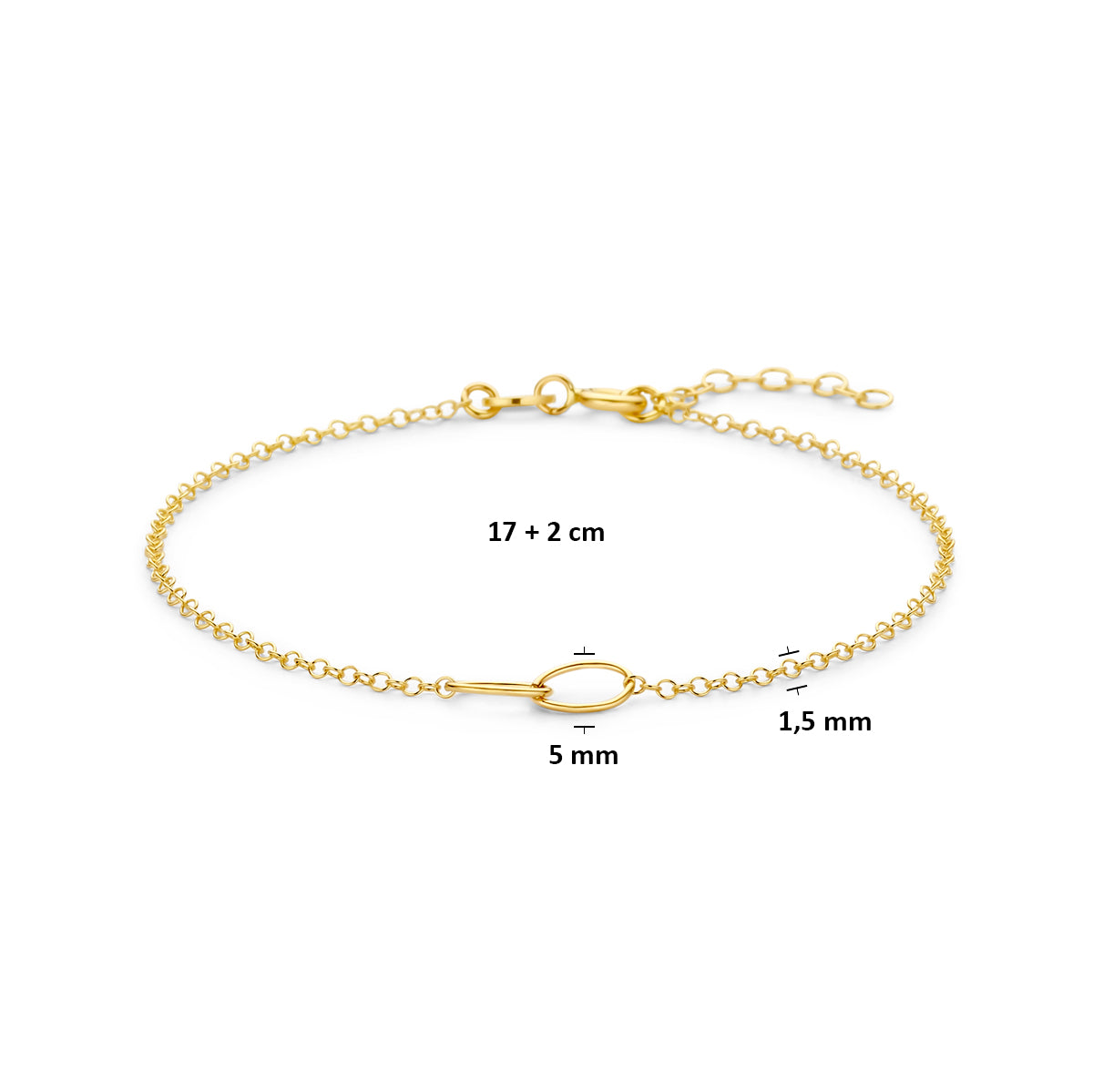 Technisch overzicht van de gouden armband met ovale schakel, verstelbaar 17 tot 19 cm