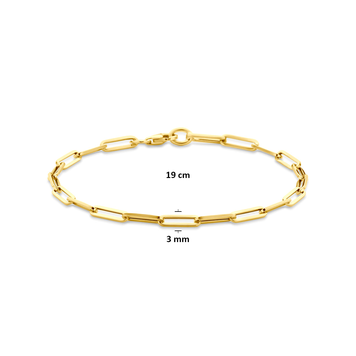 Afmetingen van de paperclip armband van 9 karaat geelkleurig: 19 cm lang, schakel 3 mm