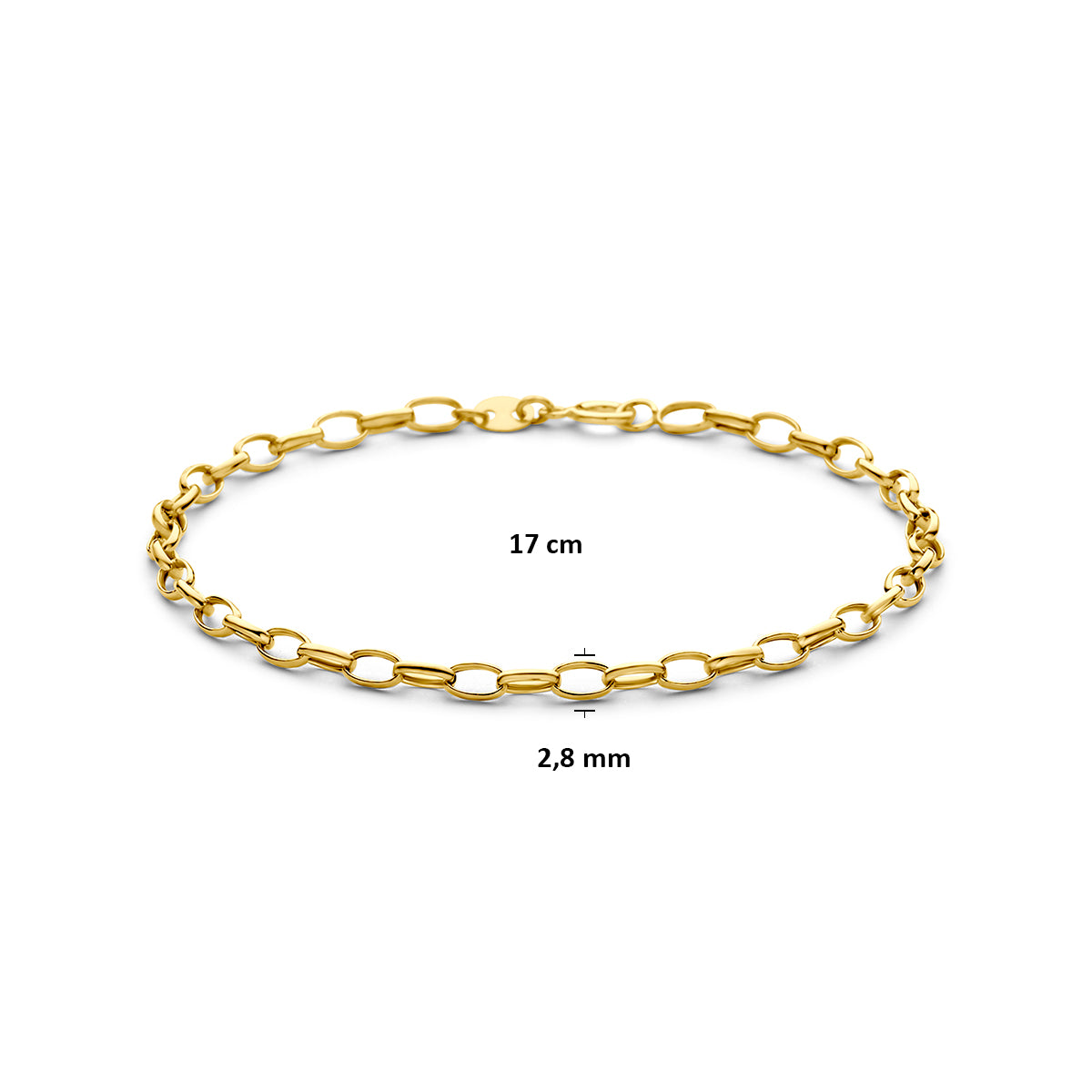 9 karaat armband: afmetingen van de 9 karaat geelkleurige ankerarmband, lengte 17 cm, schakel van 2,8 mm breed.