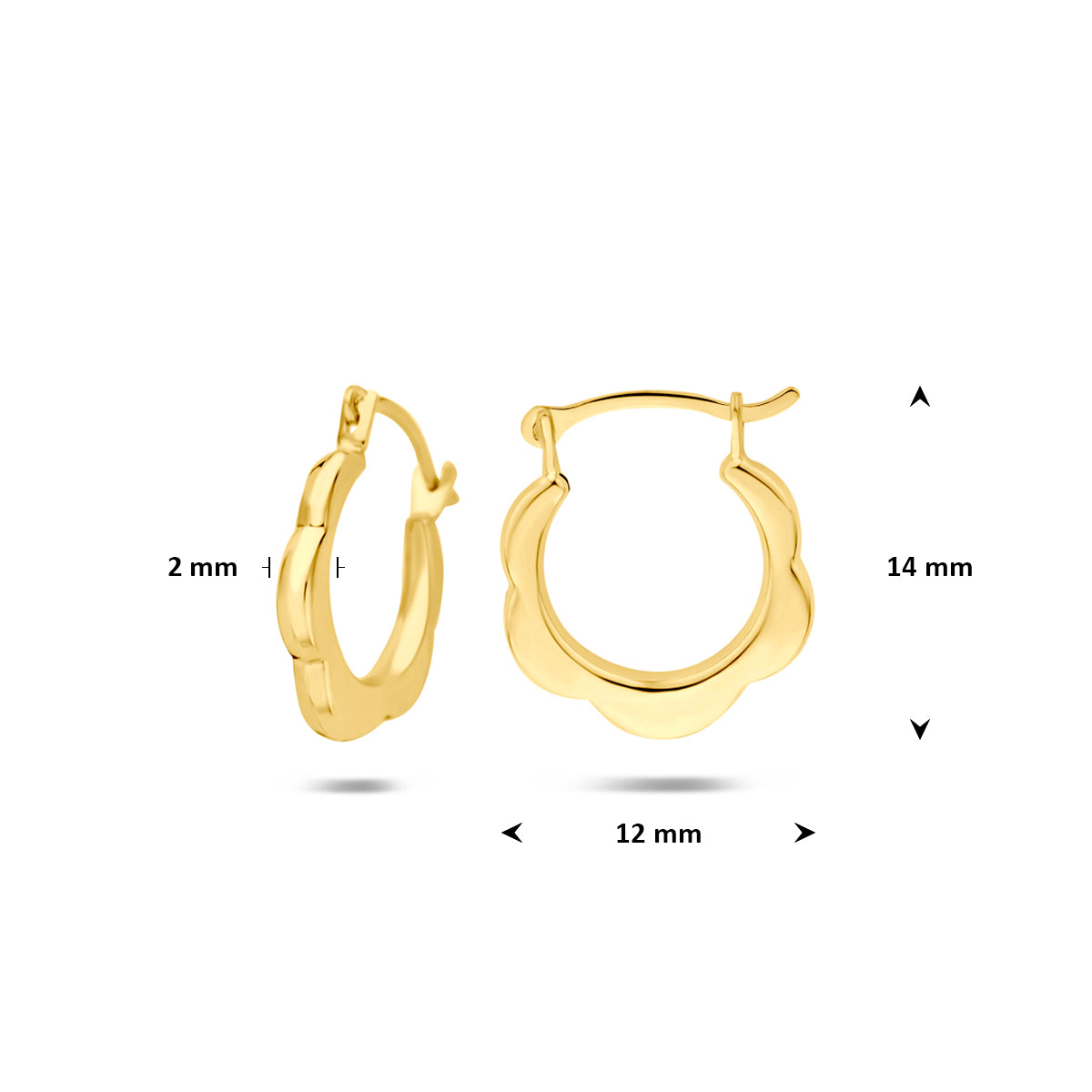 Afmetingen van de geelkleurige brede oorringen van 9 karaat: 14 mm hoog en 12 mm breed.