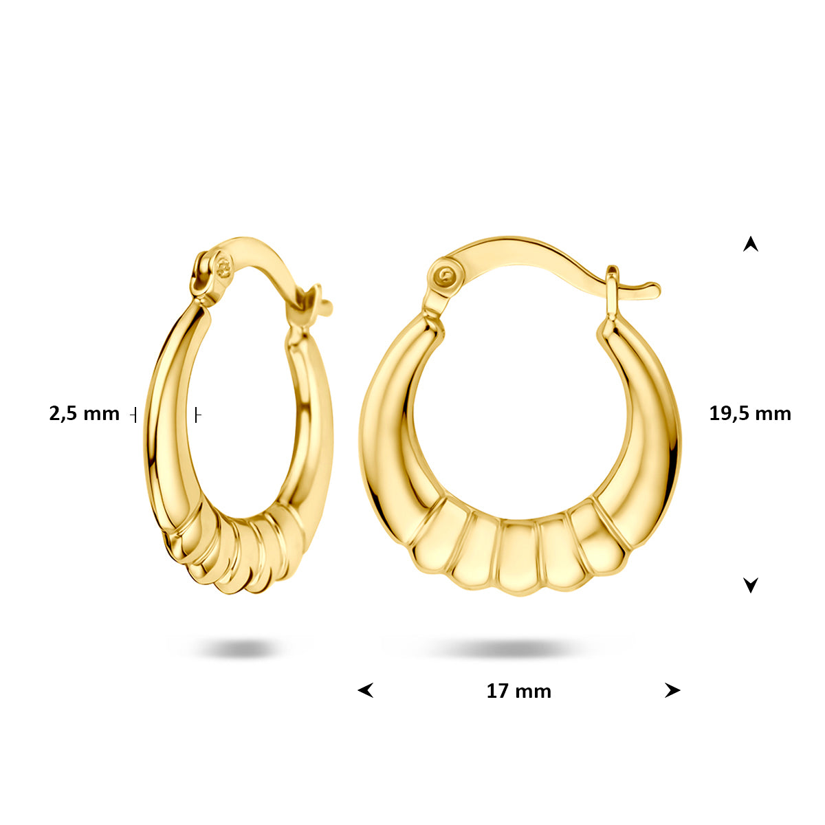 9 karaat oorbellen: afmetingen van de 9 karaat geelkleurige geribbelde oorringen, 19,5 mm hoog en 17,0 mm breed.