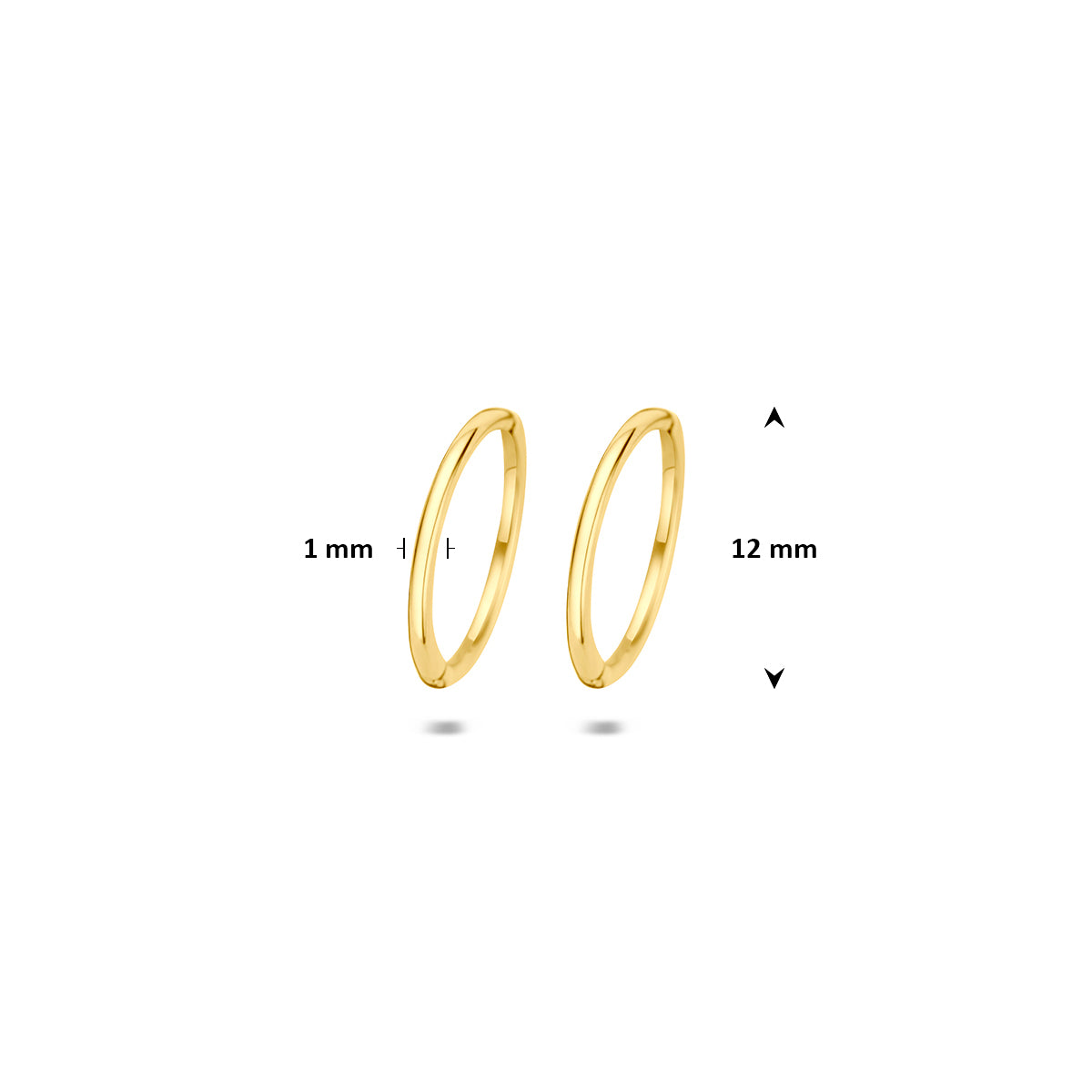 Klapoorringen: afmetingen van de 9 karaat geelkleurige klapoorringen, doorsnee 12,0 mm, 12,0 mm doorsnee.