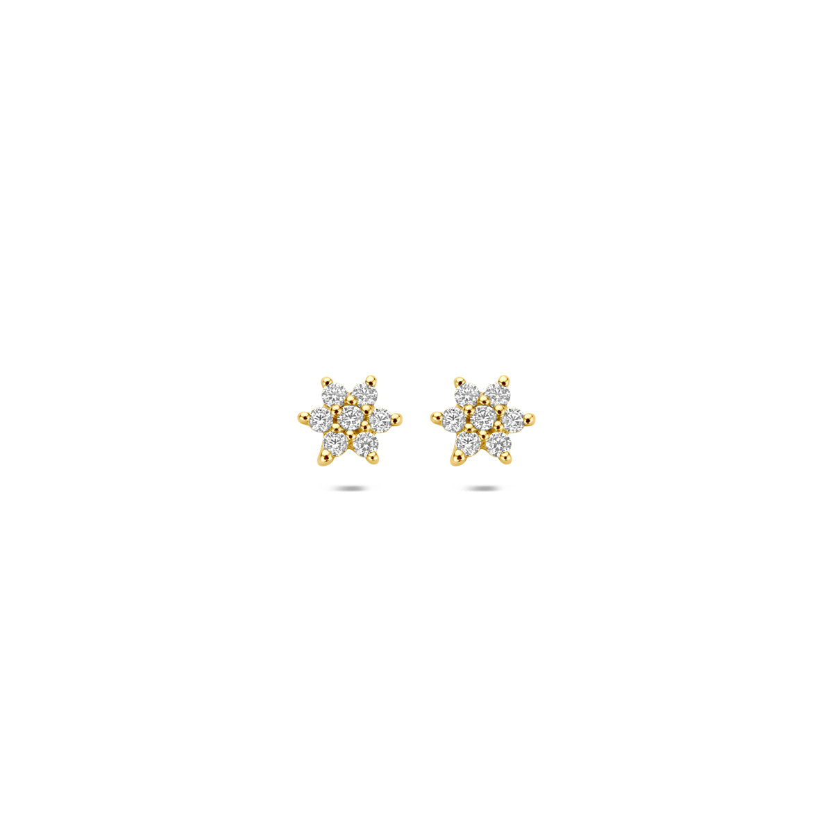 Vooraanzicht van de 9 karaat geelkleurige kleine oorknopjes met zirkonia, 4,5 mm hoog en 5 mm breed.