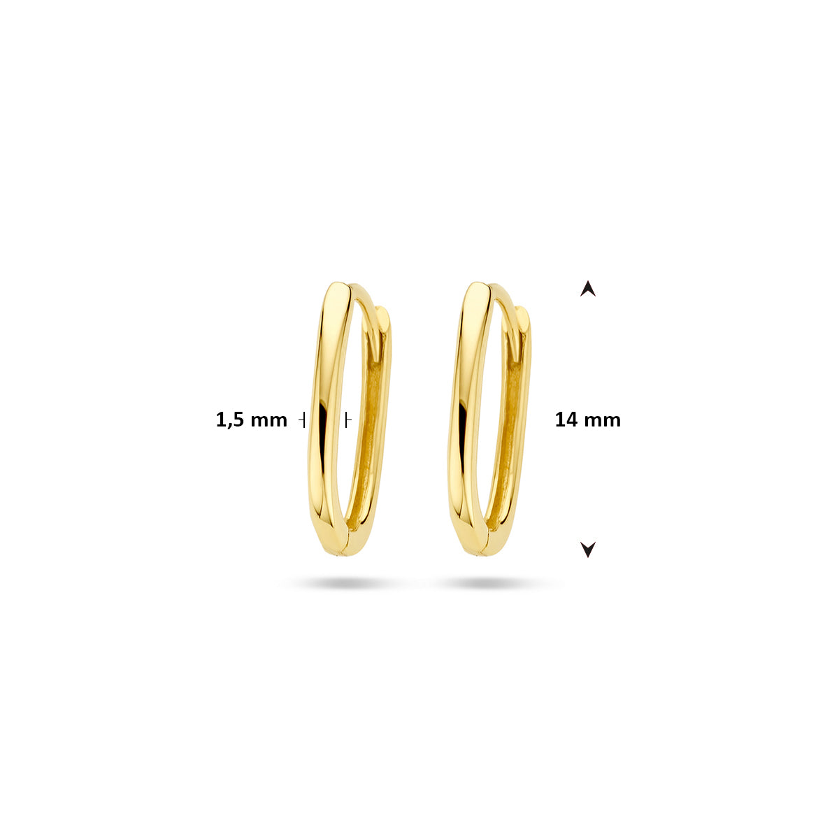 Afmetingen van de geelkleurige paperclip klapoorringen van 9 karaat: 14 mm hoog en 1,5 mm dik.