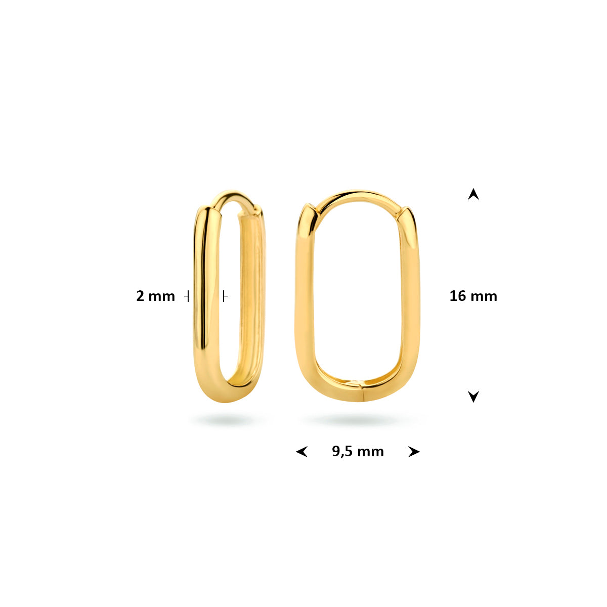 Afmetingen van de geelkleurige 9 karaat paperclip klapoorringen: 16 mm hoog, 9,5 mm breed en 2 mm dik.
