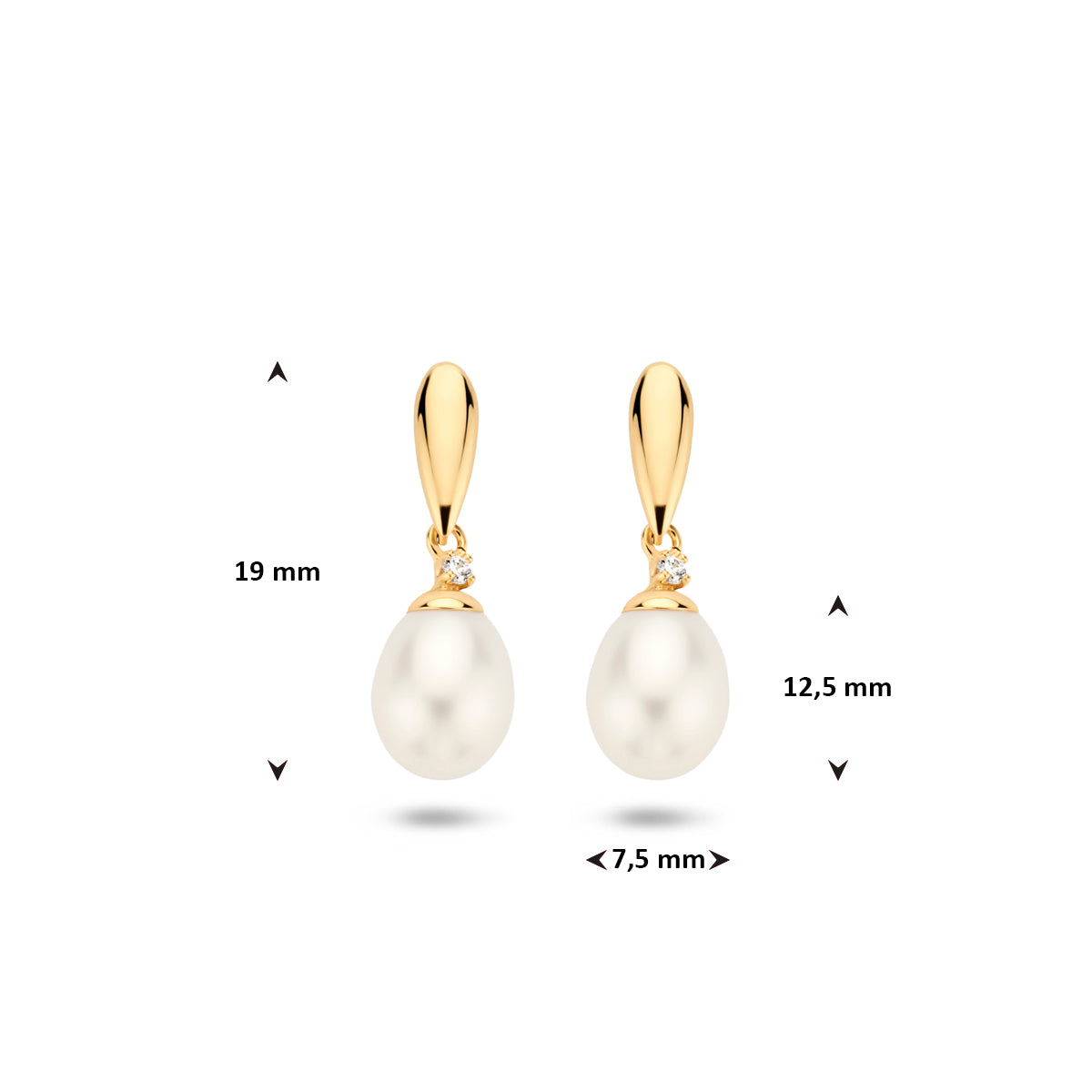 Technische afbeelding van de 9 karaat geelkleurige parel oorhangers met zirkonia met afmetingen, 19 mm hoog en 7,5 mm breed.