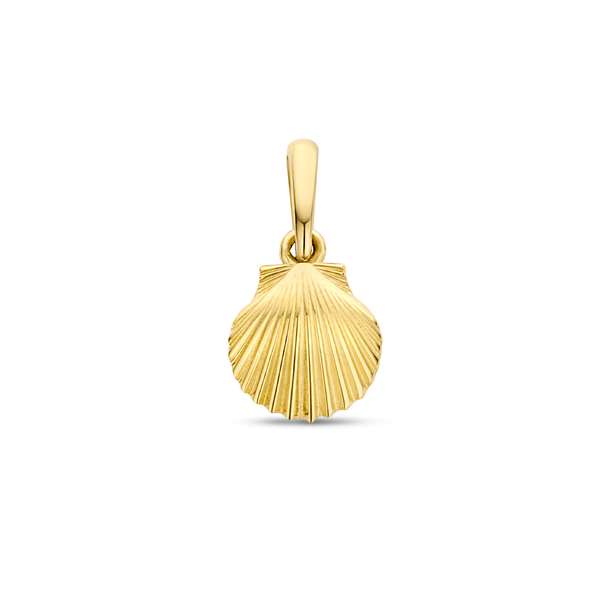 Vooraanzicht van de 9 karaat geelkleurige schelp hanger, 12 mm hoog en 6,7 mm breed.