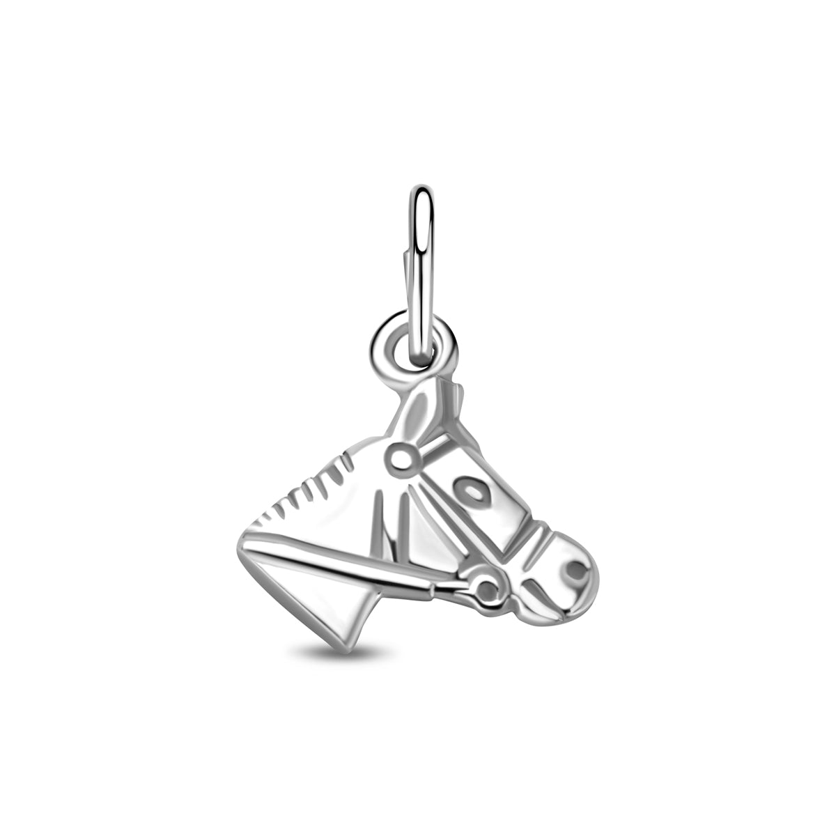 Vooraanzicht van de zilveren paardenhoofd hanger.