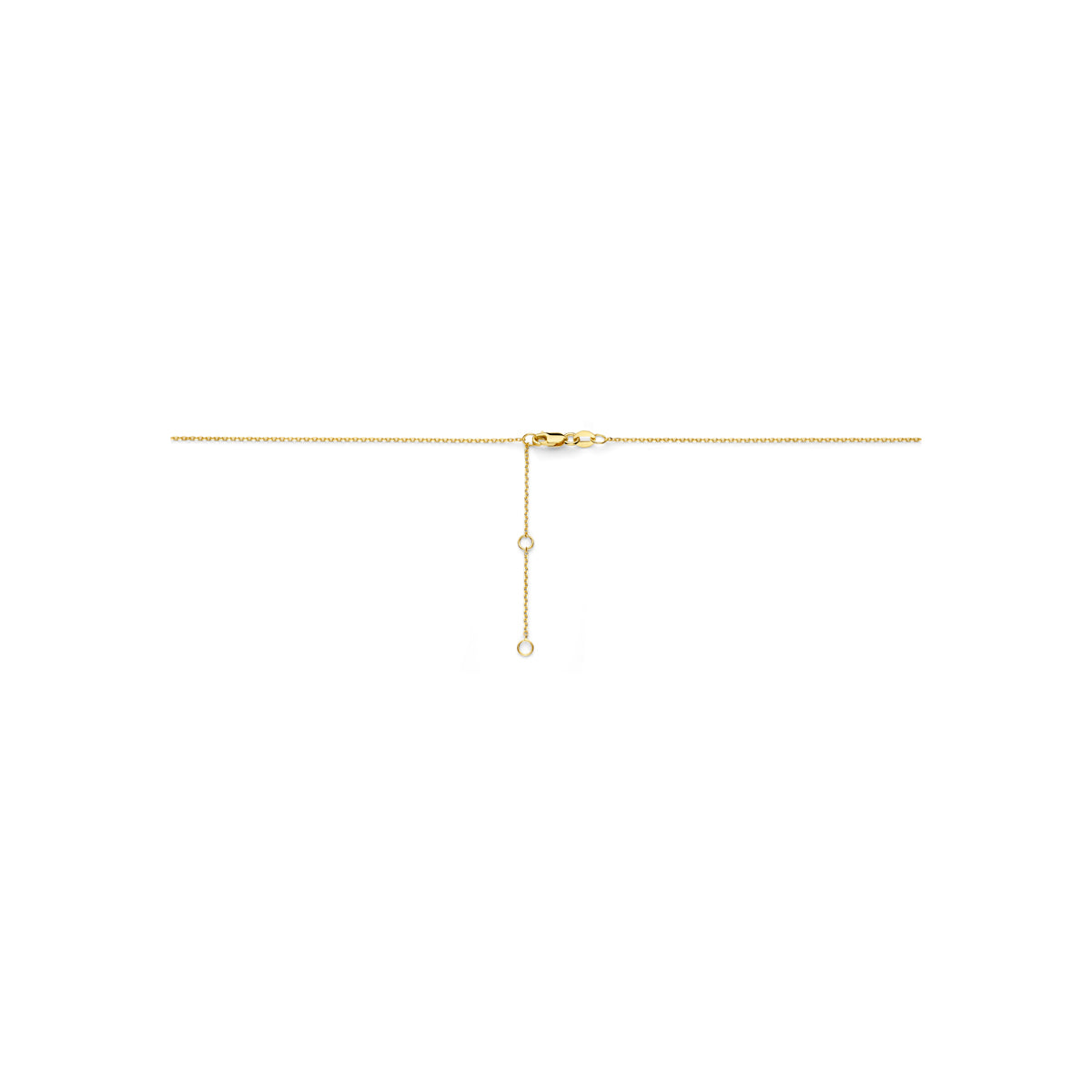 Close-up van de karabijnsluiting en de versteloogjes.