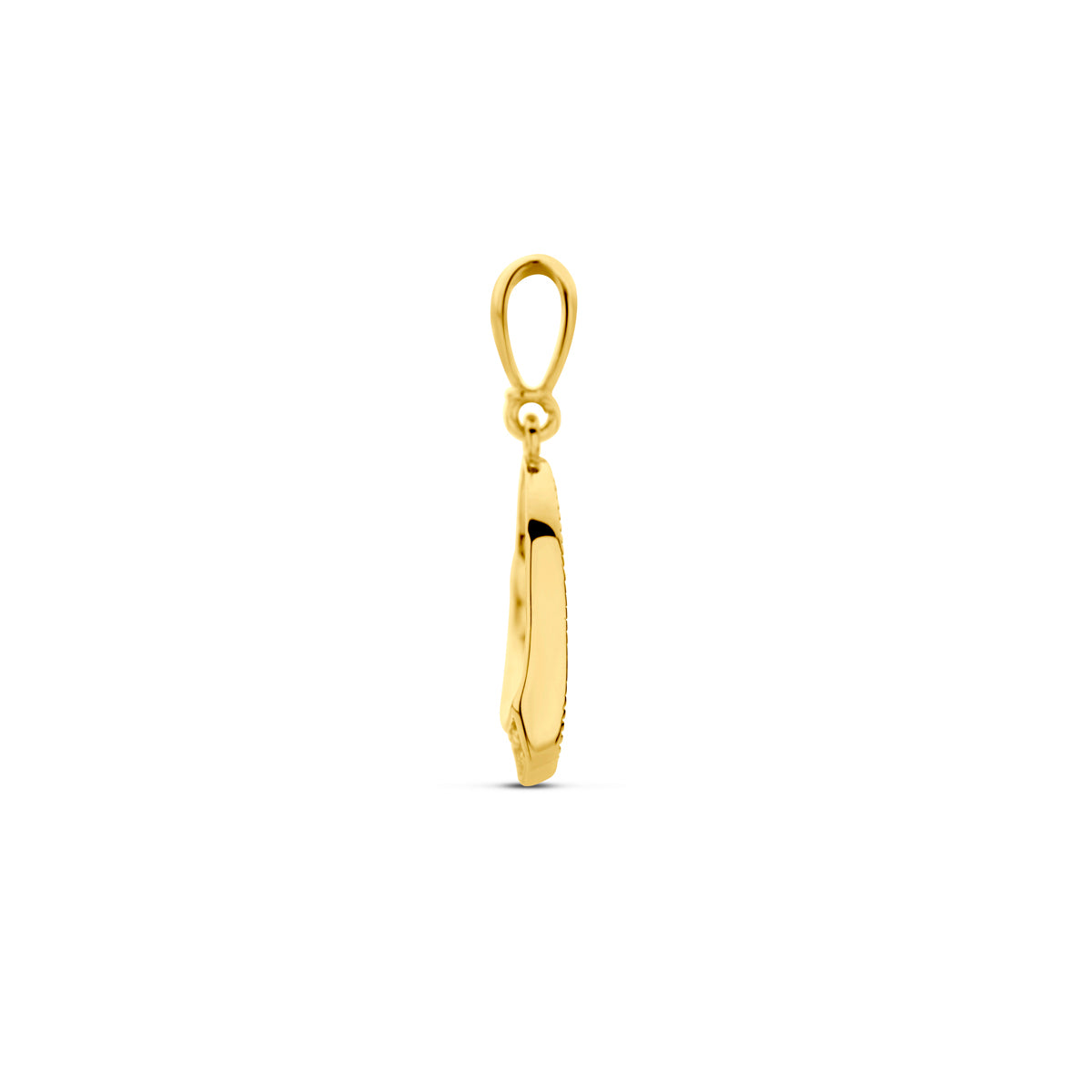 Zijaanzicht van de 14 karaat geelgouden Nina hanger.