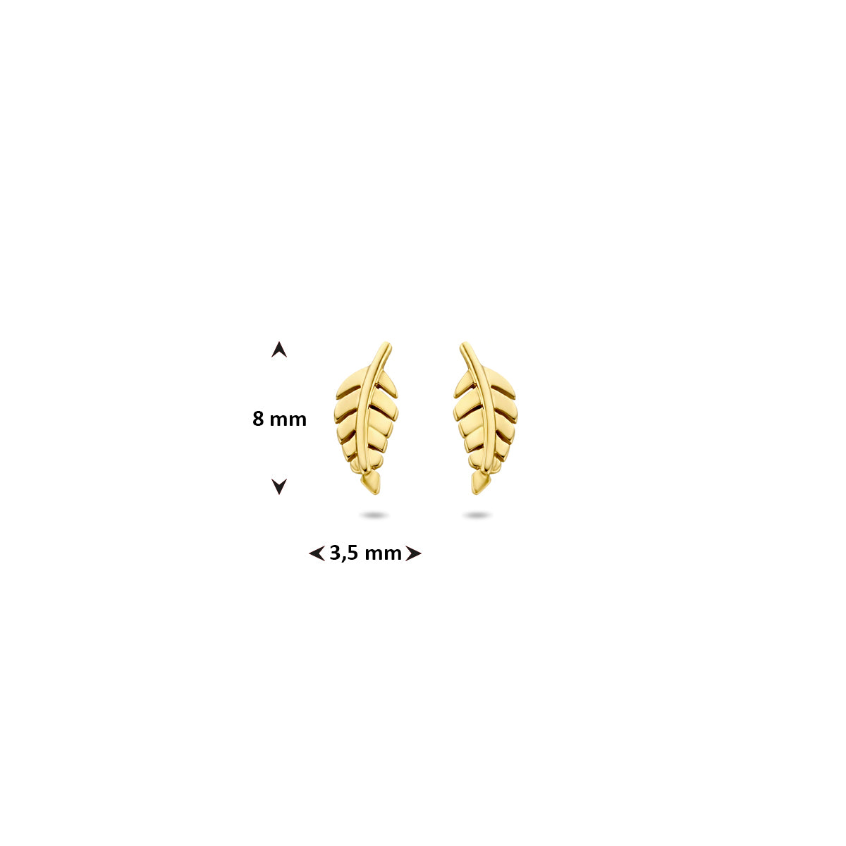 Afbeelding van de gouden oorknopjes Pluma met de maatvoering van 8 mm hoogte en 3,5 mm breedte.